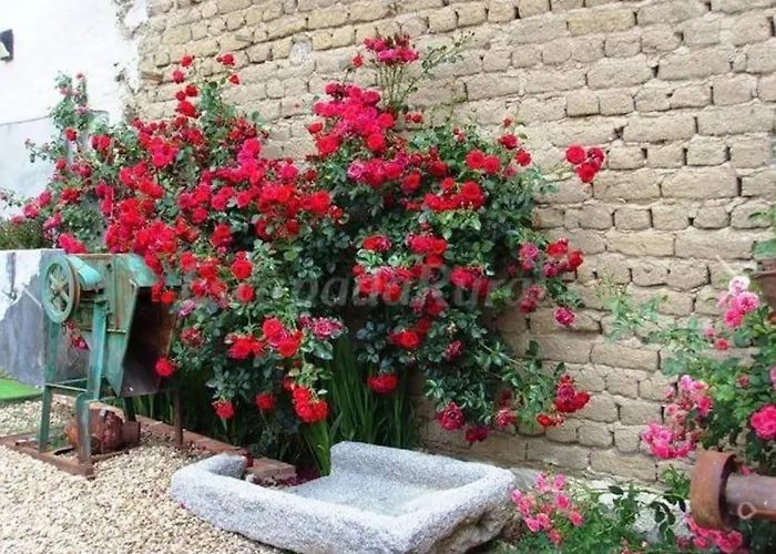 度假居 Blason Conde De Castro Santo Tomé de Zabarcos