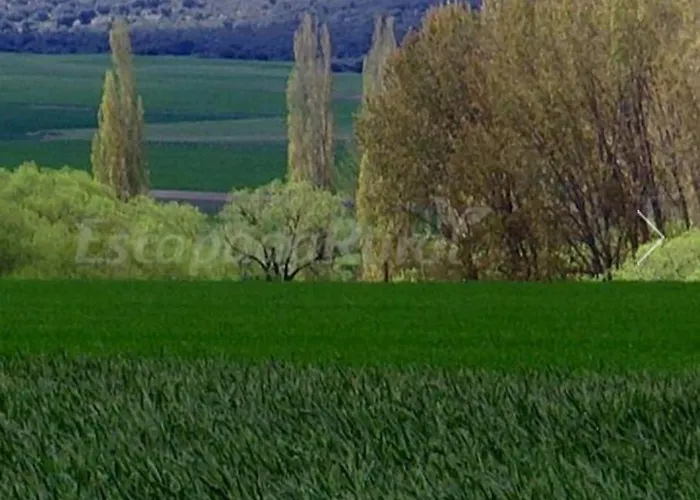 Blason Conde De Castro * Santo Tomé de Zabarcos