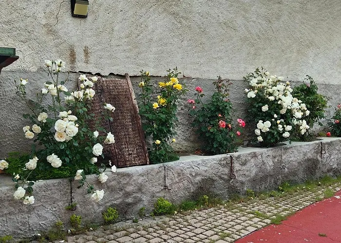 度假居 Blason Conde De Castro